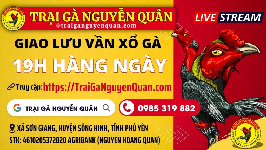 Video 18h57 ngày 20/9 – Trại Gà Nguyễn Quân